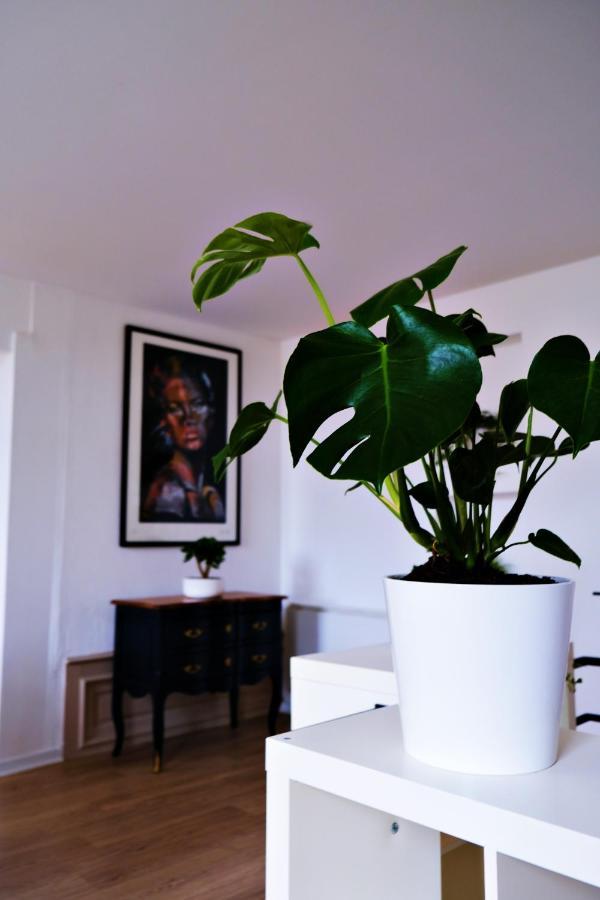 Le Loft Pasteur Lägenhet Dole Exteriör bild